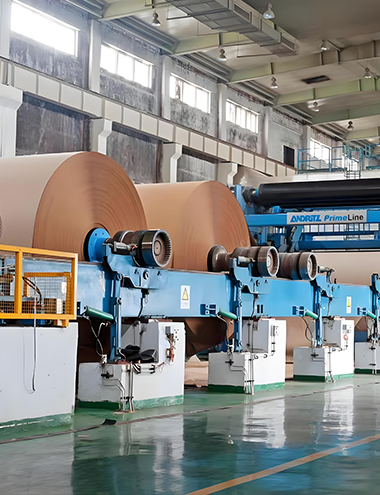  造纸行业     PAPER INDUSTRY